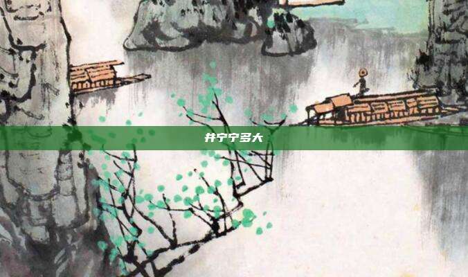 井宁宁多大