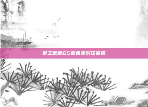 星之迟迟65套合集解压密码