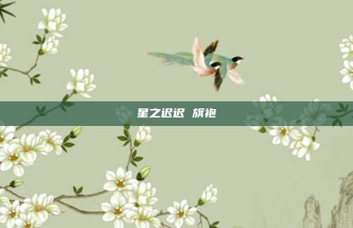 星之迟迟 旗袍