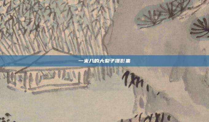 一米八的大梨子摄影集