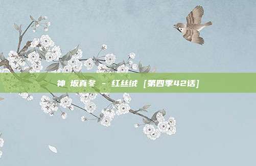 神楽坂真冬 - 红丝绒 [第四季42话]