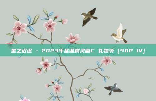星之迟迟 - 2023年圣诞精灵篇C 礼物袋 [90P 1V]