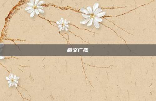 藏文广播