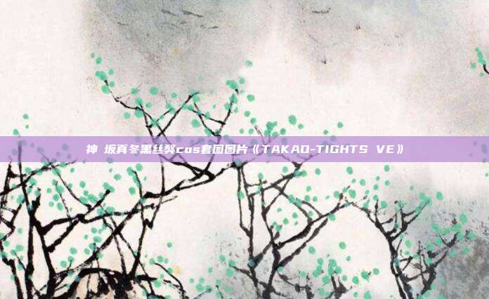 神楽坂真冬黑丝獒cos套图图片《TAKAO-TIGHTS VE》