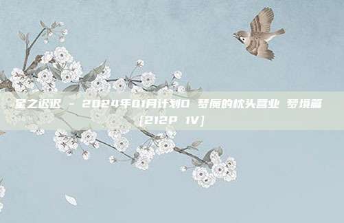 星之迟迟 - 2024年01月计划D 梦魔的枕头营业 梦境篇 [212P 1V]