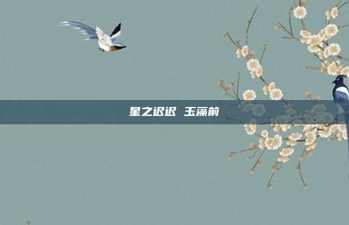 星之迟迟 玉藻前
