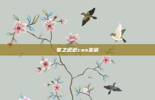 星之迟迟cos圣诞