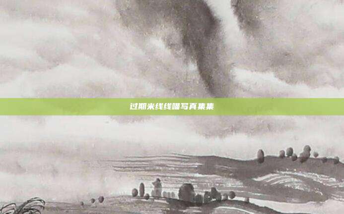 过期米线线喵写真集集