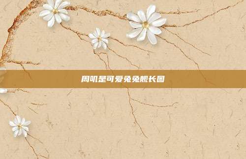 周叽是可爱兔兔舰长图