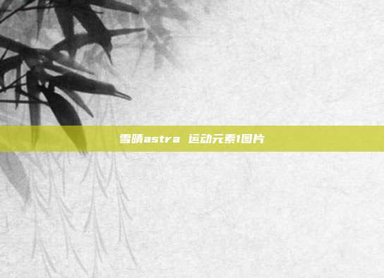 雪晴astra 运动元素1图片