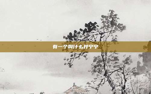 有一个叫什么井宁宁