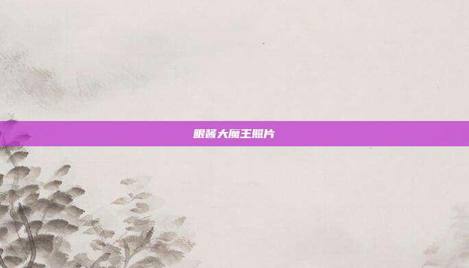 眼酱大魔王照片