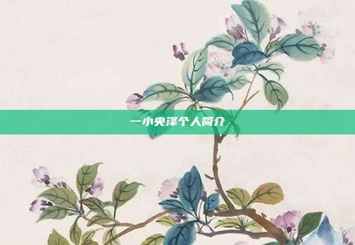 一小央泽个人简介