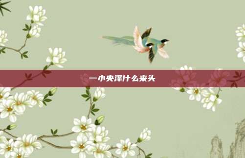 一小央泽什么来头