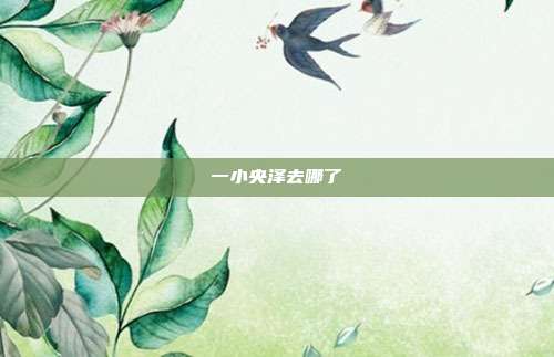 一小央泽去哪了