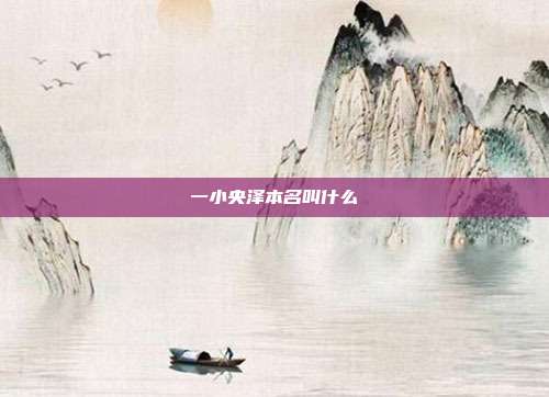 一小央泽本名叫什么