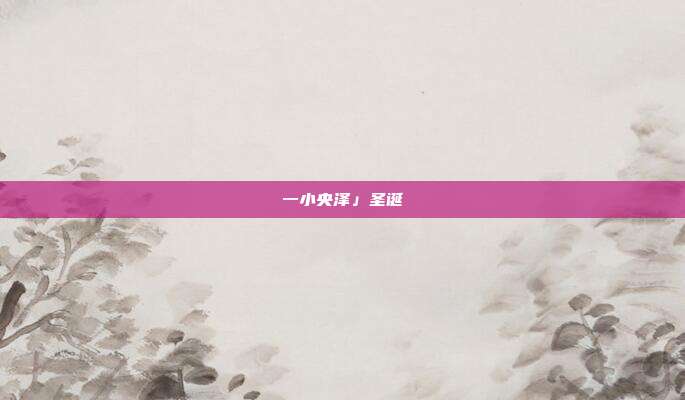 一小央泽」圣诞