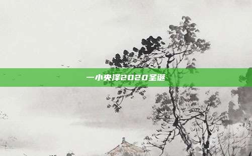 一小央泽2020圣诞