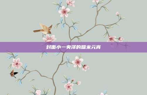 封面小一央泽的糯米元宵