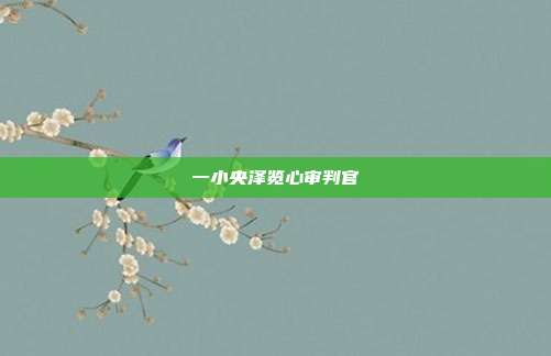 一小央泽览心审判官