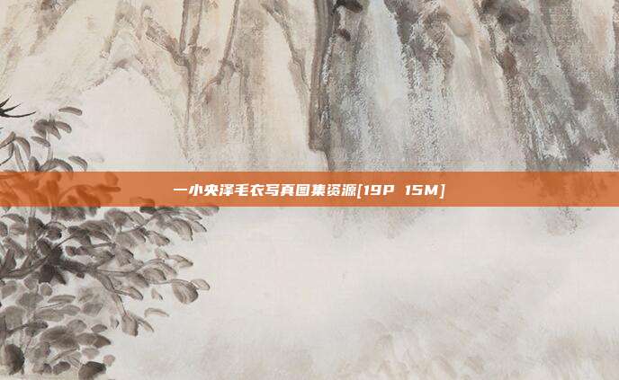 一小央泽毛衣写真图集资源[19P 15M]