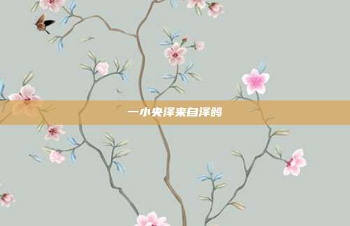 一小央泽来自泽鸽