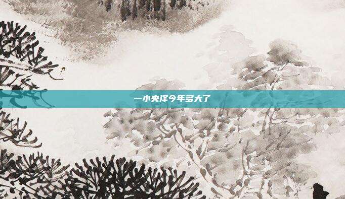 一小央泽今年多大了