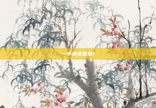 一小央泽是谁?