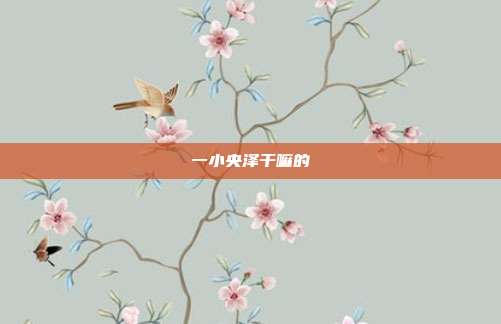 一小央泽干嘛的