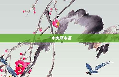 一小央泽本名