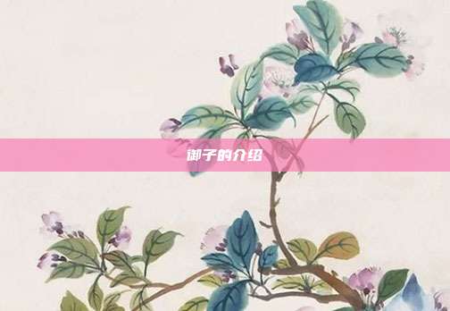 御子的介绍