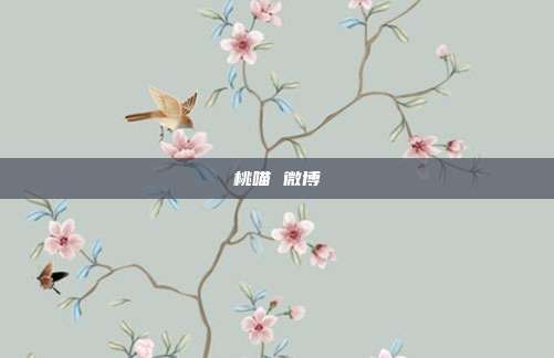 桃喵 微博