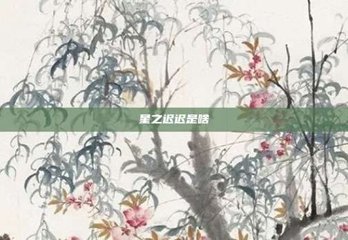 星之迟迟是啥