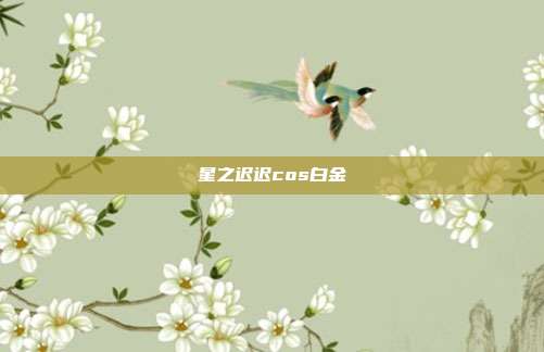星之迟迟cos白金