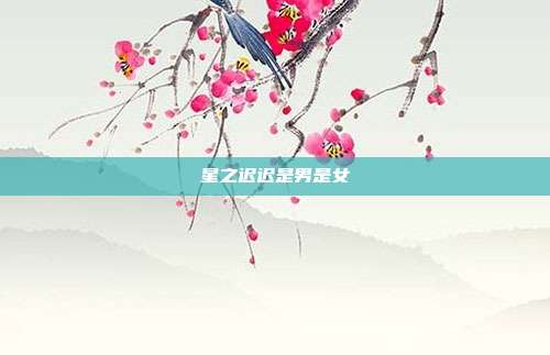星之迟迟是男是女