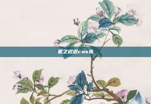 星之迟迟cos兔