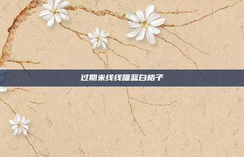 过期米线线喵蓝白格子