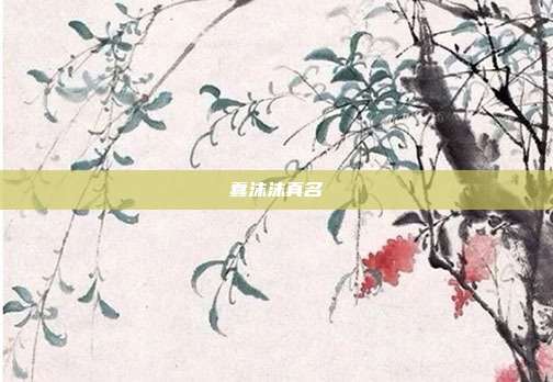 蠢沫沫真名