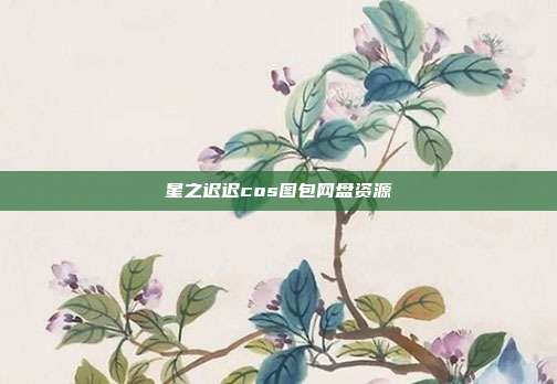 星之迟迟cos图包网盘资源
