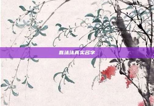 蠢沫沫真实名字