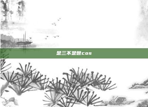 是三不是世cos