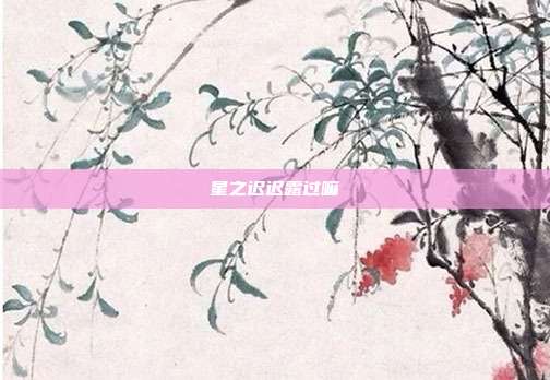 星之迟迟露过嘛