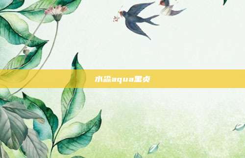 水淼aqua黑贞