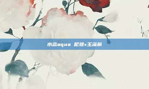 水淼aqua 尼禄×玉藻前