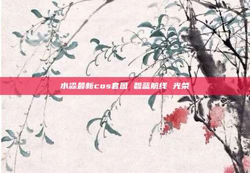 水淼最新cos套图 碧蓝航线 光荣