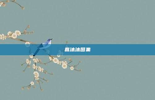 蠢沐沐图集