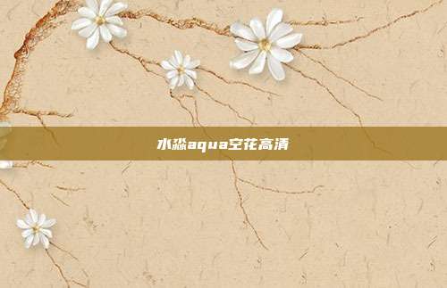 水淼aqua空花高清