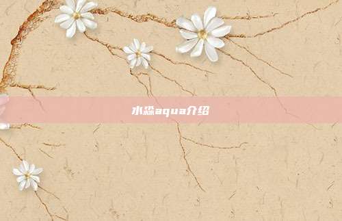 水淼aqua介绍
