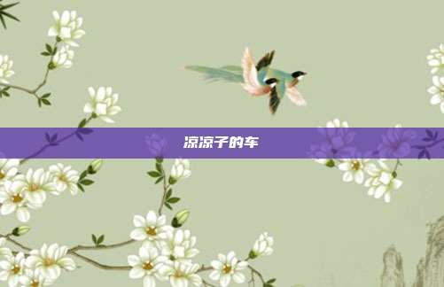 凉凉子的车