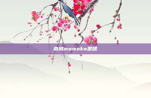 南桃momoko是啥